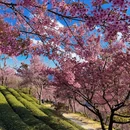 昭通旅游 缩略图 3
