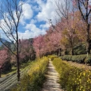 昭通旅游 缩略图 2