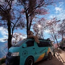 昭通旅游 缩略图 13
