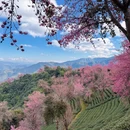 昭通旅游 缩略图 11