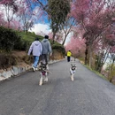 昭通旅游 缩略图 6
