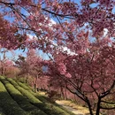 昭通旅游 缩略图 7
