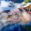 大理州旅游 缩略图 8