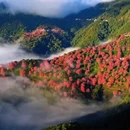 大理州旅游 缩略图 7