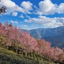 昭通旅游 缩略图 12