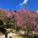 大理州旅游 缩略图 1