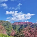 楚雄州旅游 缩略图 14