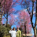 大理州旅游 缩略图 12