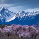 林芝旅游 缩略图 5