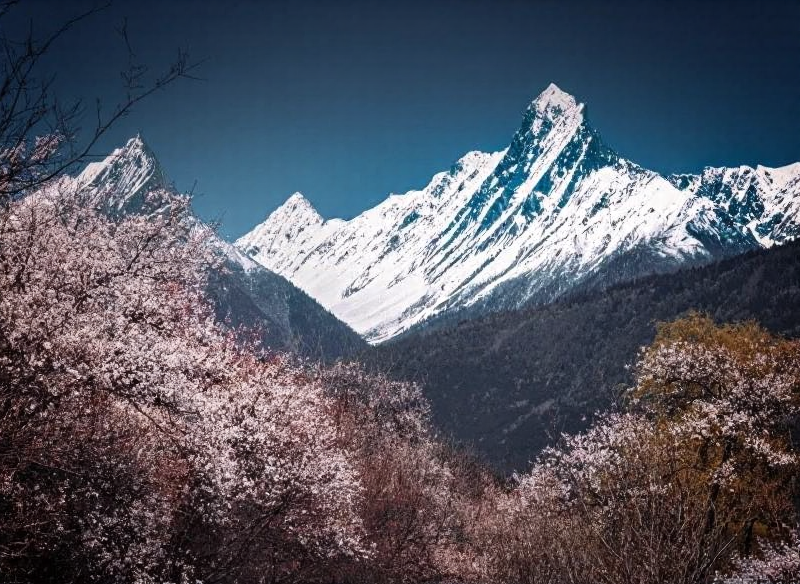 林芝旅游