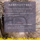 林芝旅游 缩略图 3