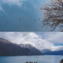 林芝旅游 缩略图 6