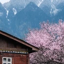 林芝旅游 缩略图 4