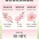 林芝旅游 缩略图 2