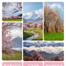 林芝旅游 缩略图 1