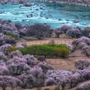 林芝旅游 缩略图 1