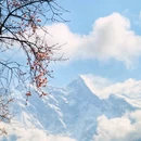 林芝旅游 缩略图 4