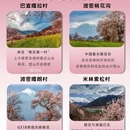 林芝旅游 缩略图 3