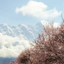林芝旅游 缩略图 3