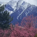 林芝旅游 缩略图 8