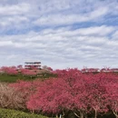 桂林旅游 缩略图 4