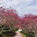 桂林旅游 缩略图 5