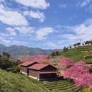 桂林旅游 缩略图 12