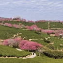 桂林旅游 缩略图 1