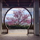 桂林旅游 缩略图 9