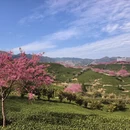 桂林旅游 缩略图 3