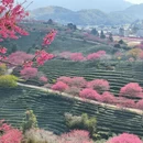 桂林旅游 缩略图 11
