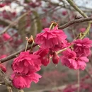 福州旅游 缩略图 1