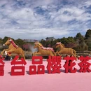 桂林旅游 缩略图 17