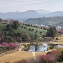 桂林旅游 缩略图 16
