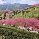 桂林旅游 缩略图 10