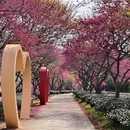 桂林旅游 缩略图 13