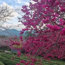 福州旅游 缩略图 4