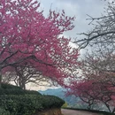 福州旅游 缩略图 5