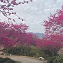 福州旅游 缩略图 7