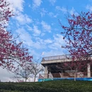 福州旅游 缩略图 8