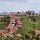 桂林旅游 缩略图 15