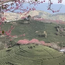 福州旅游 缩略图 12