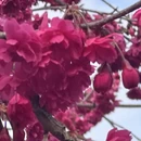 福州旅游 缩略图 10