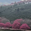 福州旅游 缩略图 9
