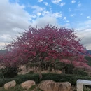 福州旅游 缩略图 2