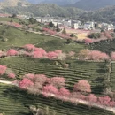 福州旅游 缩略图 11