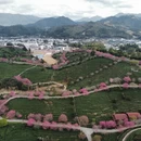 福州旅游 缩略图 14