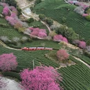 福州旅游 缩略图 15