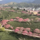 福州旅游 缩略图 13