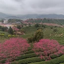 福州旅游 缩略图 18